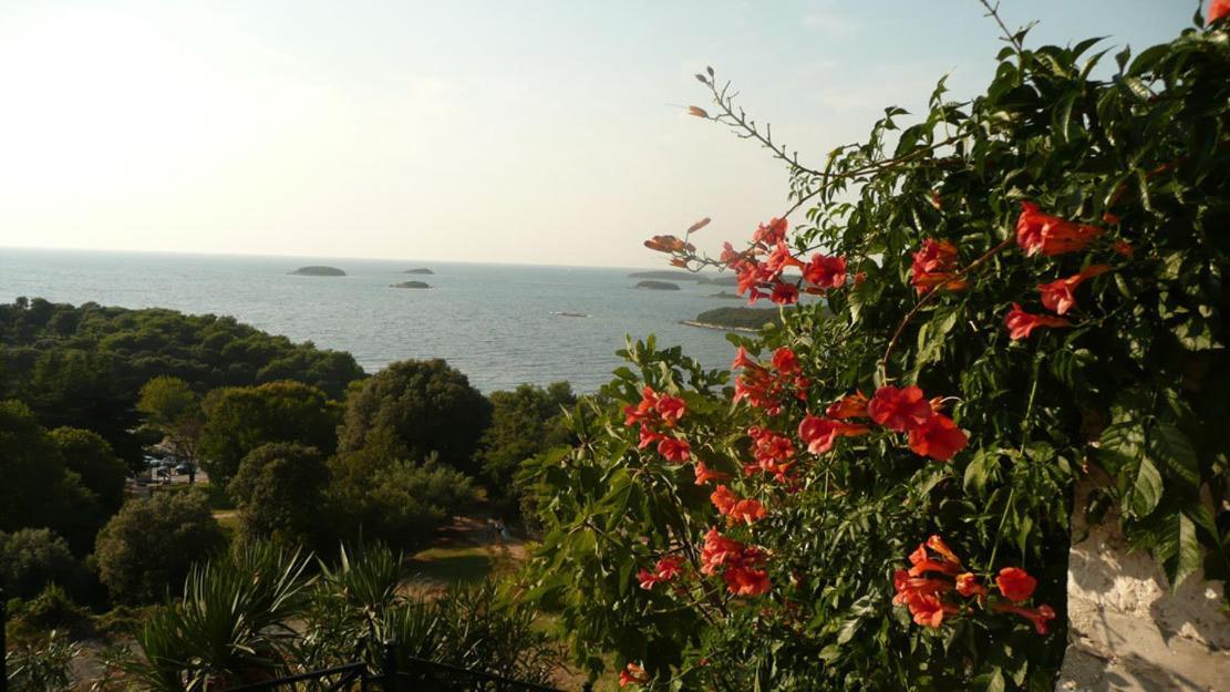 Hotel Casa di Rose Orsera Esterno foto